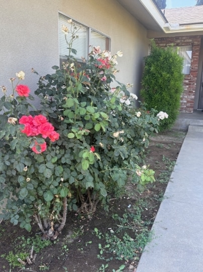 property at 719 E Menlo Ave