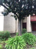 19 Redwood Ct in Santa Rosa, CA - Building Photo