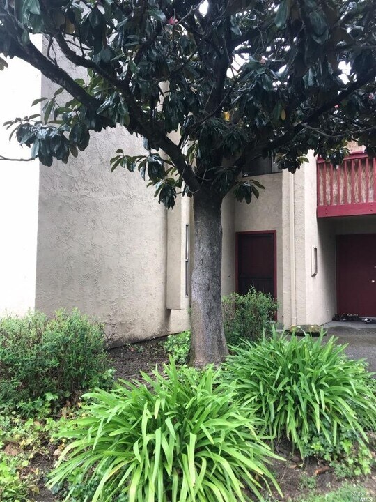 19 Redwood Ct in Santa Rosa, CA - Building Photo