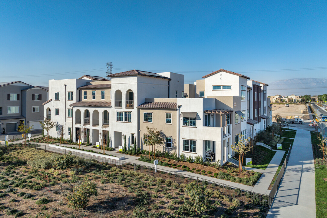 Cedar Row in Chino, CA - Building Photo