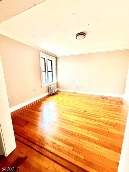 property at 17 Elwood Pl