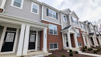 232 Timberleaf Cir in Roselle, IL - Building Photo
