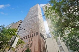 161 E Chicago Ave, Unit 161 E Chicago Ave #46H in Chicago, IL - Building Photo