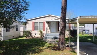 18906 Mesa Oaks Dr in Magnolia, TX - Building Photo