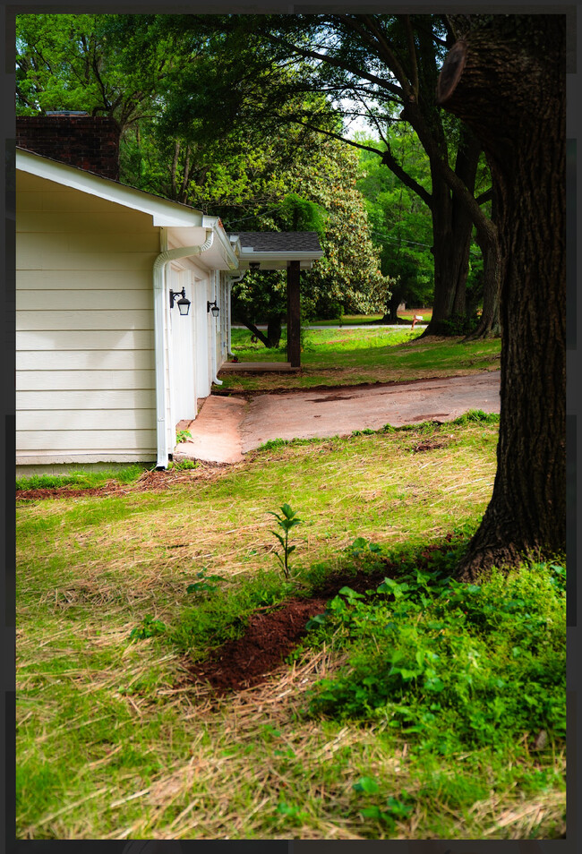 206 Donald Alexander Rd in Cleveland, GA - Building Photo - Building Photo