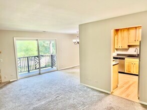 1485 Johnstown Ln in Wheaton, IL - Building Photo - Building Photo