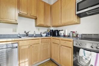 57 E Springfield St, Unit 2 in Boston, MA - Building Photo - Building Photo
