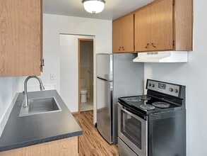 Carroll Court Apartments in St. Paul, MN - Building Photo - Building Photo