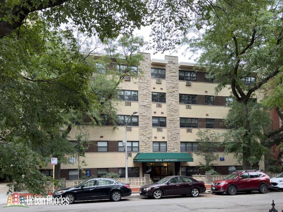 510 W Briar Pl, Unit M195 in Chicago, IL - Building Photo