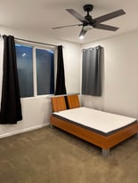 3776 Pintail Dr in Antioch, CA - Building Photo