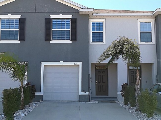 34346 Redwood Dawn Ln in Wesley Chapel, FL - Building Photo - Building Photo