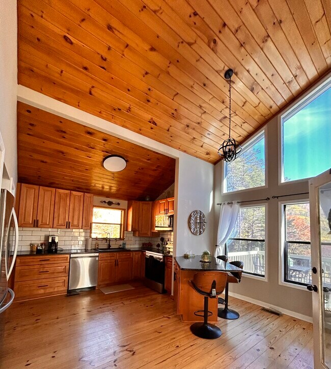 348 Cozy Cove Hollow in Blairsville, GA - Building Photo - Building Photo