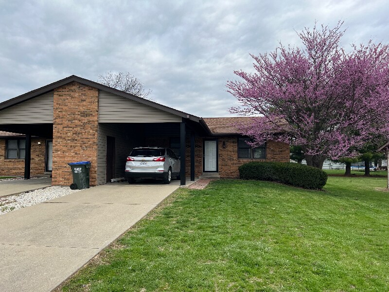 119 Madison Dr in Waterloo, IL - Building Photo
