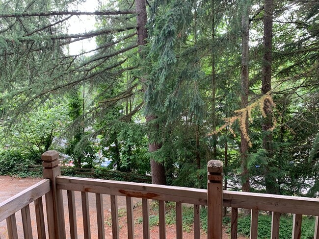 19124 61st Place NE, Unit Apt 1A in Kenmore, WA - Building Photo - Building Photo