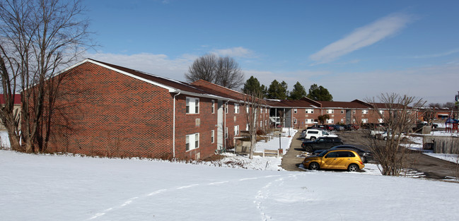 Holly Manor Apartments in South Shore, KY - Building Photo - Building Photo