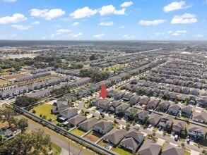 3717 Cat Mint St in Tampa, FL - Foto de edificio - Building Photo