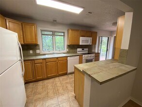 1516 Lisa Dr in Austin, TX - Building Photo - Building Photo