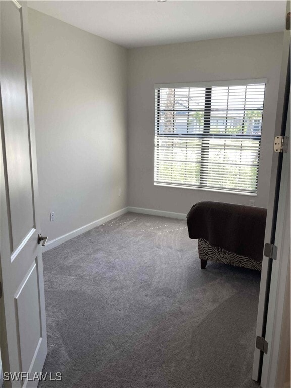 property at 11717 Canopy Loop