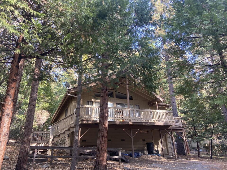 25370 Wrightwood Dr in Idyllwild, CA - Building Photo