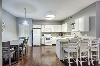 421 Belmont Pl in Provo, UT - Building Photo - Building Photo