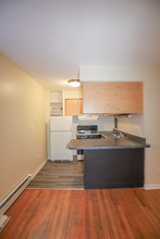 523 W Briar Pl in Chicago, IL - Building Photo - Building Photo