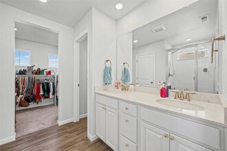 837 Hummocky Wy in Windsor, CO - Building Photo - Building Photo