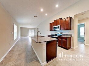 10029 RoseMary Leaf Ln in Riverview, FL - Building Photo - Building Photo