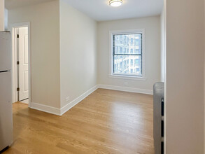 520 W Cornelia Ave, Unit 212 in Chicago, IL - Building Photo - Building Photo