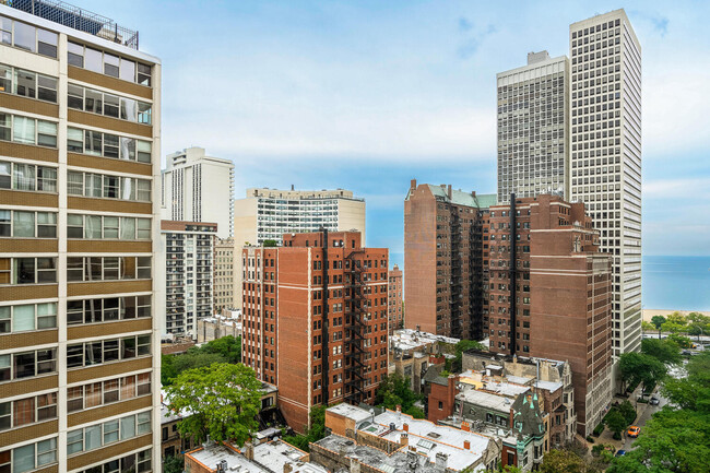 33 E Cedar St in Chicago, IL - Building Photo - Building Photo