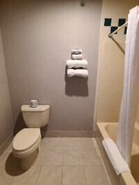 1651 N Central Ave, Unit 216 - 6