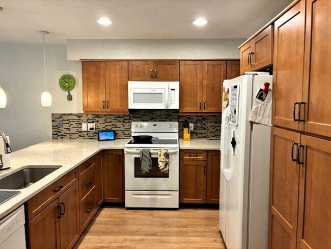 738 Lagoon Dr in Frisco, CO - Building Photo - Building Photo