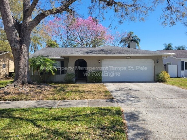 11609 Shady Tree Pl in Tampa, FL - Building Photo - Building Photo