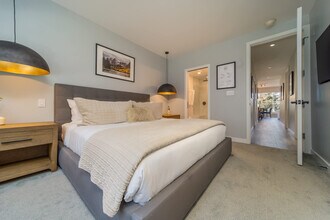 738 S Galena St in Aspen, CO - Building Photo - Building Photo
