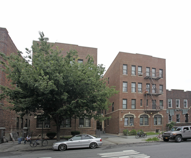 291 Crown St in Brooklyn, NY - Foto de edificio - Building Photo