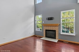 217 S Alder Creek Dr in Romeoville, IL - Building Photo - Building Photo
