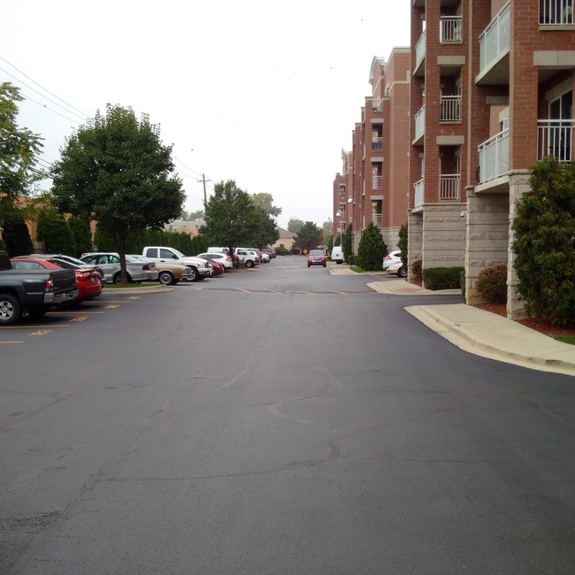 6560 W Diversey Ave, Unit 211 in Chicago, IL - Building Photo - Building Photo