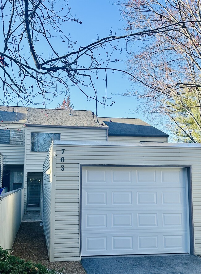 property at 703 Idlewood Ln