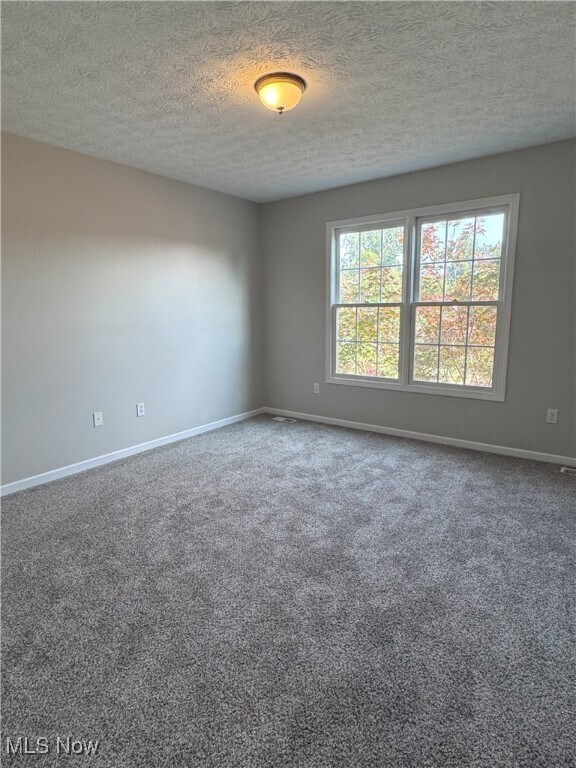 11814 Craig Dr in Strongsville, OH - Building Photo - Building Photo