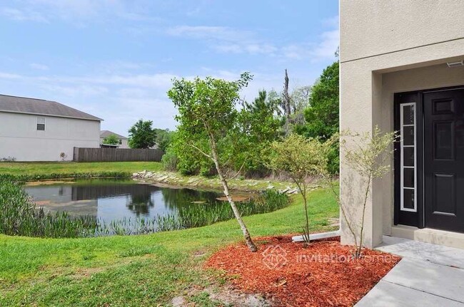 3551 Fyfield Ct in Land O Lakes, FL - Foto de edificio - Building Photo