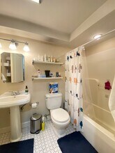 317 Saint Paul St, Unit 4 in Brookline, MA - Building Photo - Building Photo