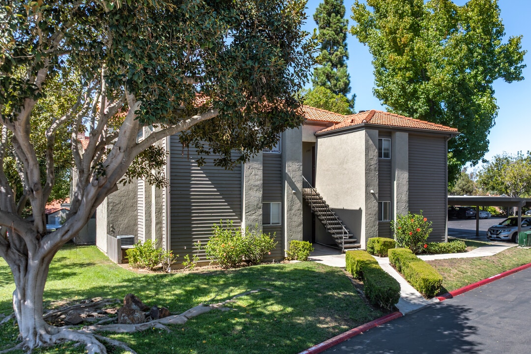 Shadowridge Summerwind in Vista, CA - Foto de edificio