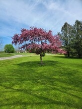 4052 Quail Rdg in Cortland, NY - Building Photo - Building Photo