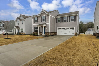 393 Golden Plum Ln in Zebulon, NC - Foto de edificio - Building Photo