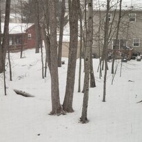 5282 Sunshine Ln in Tobyhanna, PA - Building Photo