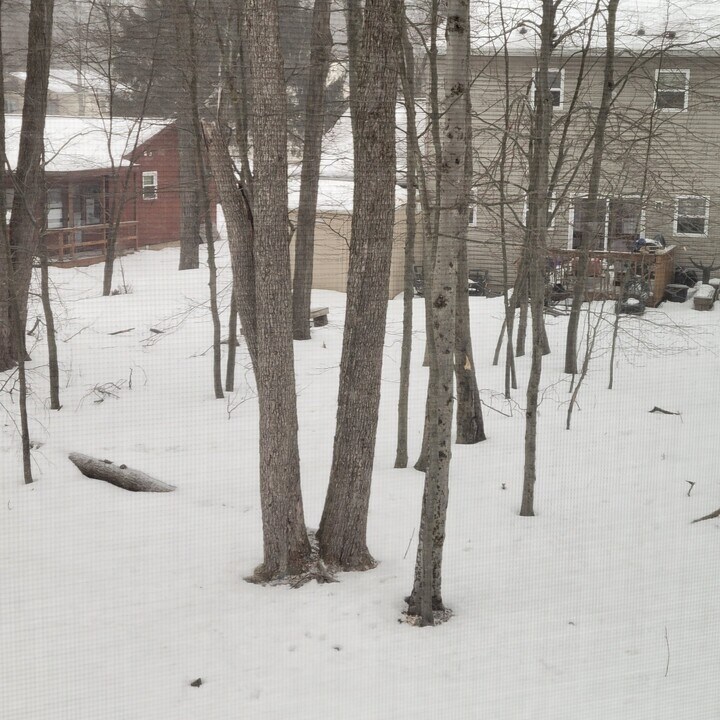 5282 Sunshine Ln in Tobyhanna, PA - Building Photo