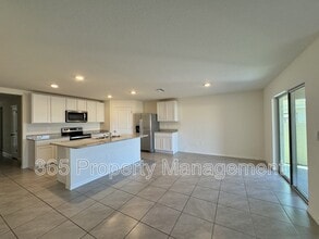 11505 Timber Grv Ln in Spring Hill, FL - Building Photo - Building Photo