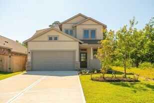 263 Navasota Narrows Wy in Conroe, TX - Building Photo