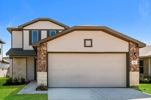 10718 Sunlit St in Cut And Shoot, TX - Building Photo