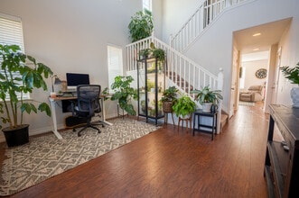 7047 Whitebark Ln in Colorado Springs, CO - Building Photo - Building Photo