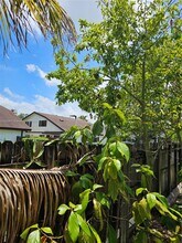 7850 SW 10th Ct in North Lauderdale, FL - Foto de edificio - Building Photo